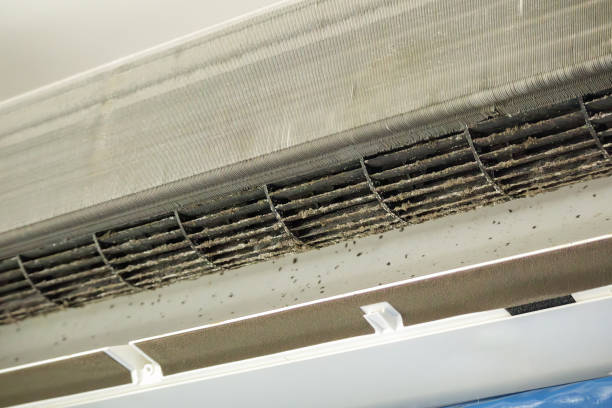 Best Commercial Air Duct Cleaning  in Mckee City, NJ