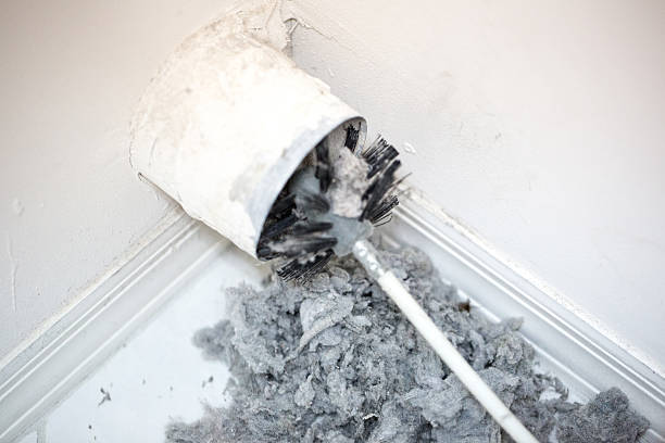 Best Air Vent Cleaning Services  in Mckee City, NJ